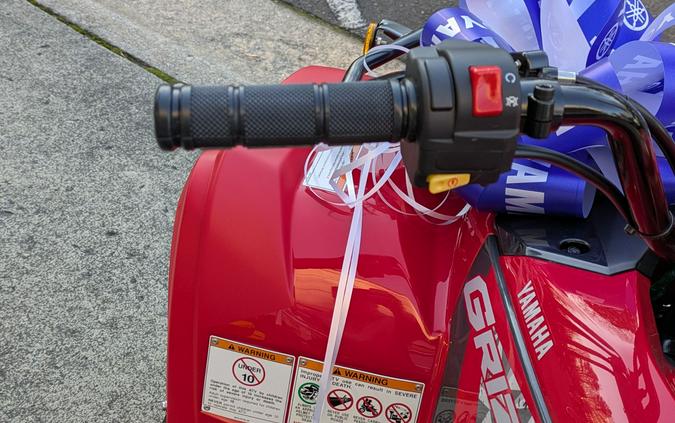 2025 Yamaha Grizzly 110