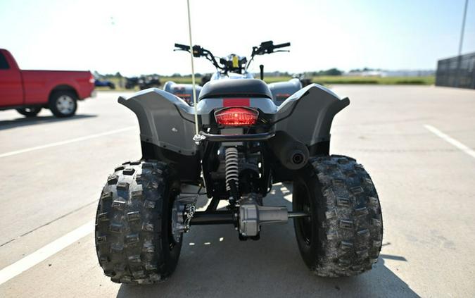 2025 Polaris Phoenix 200