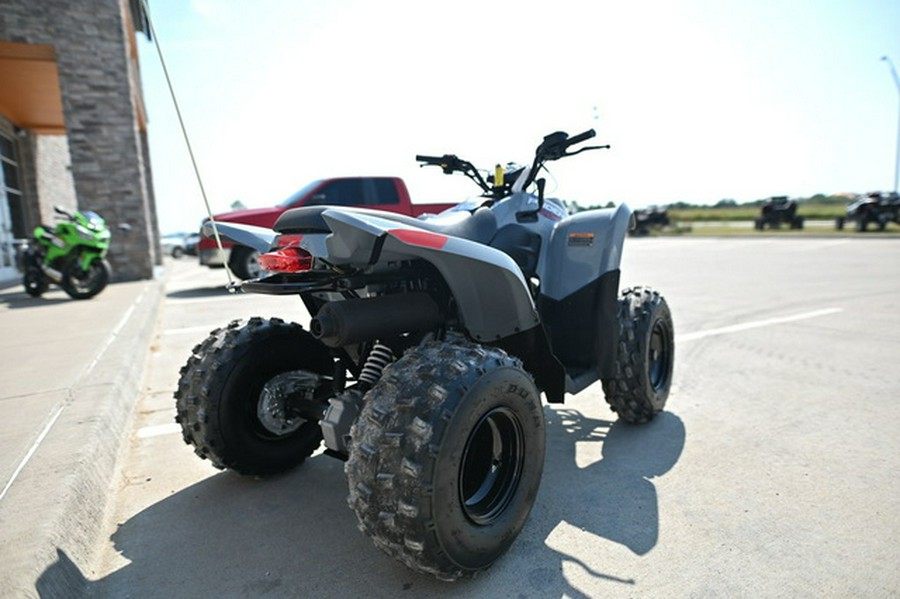 2025 Polaris Phoenix 200