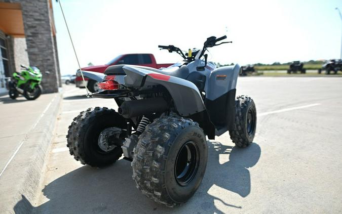 2025 Polaris Phoenix 200