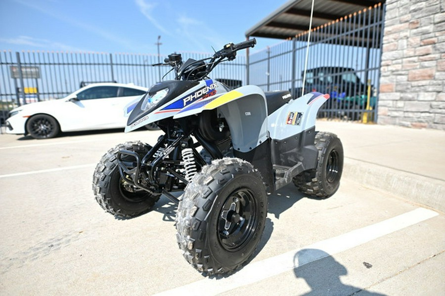 2025 Polaris Phoenix 200