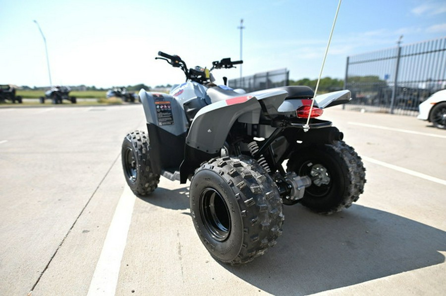 2025 Polaris Phoenix 200