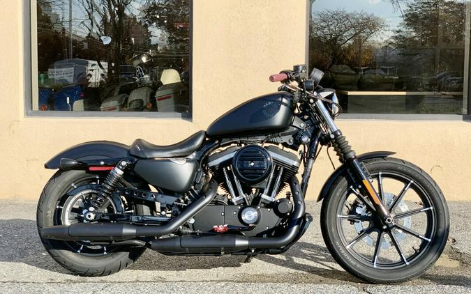 2021 Harley-Davidson Iron 883 Black Denim