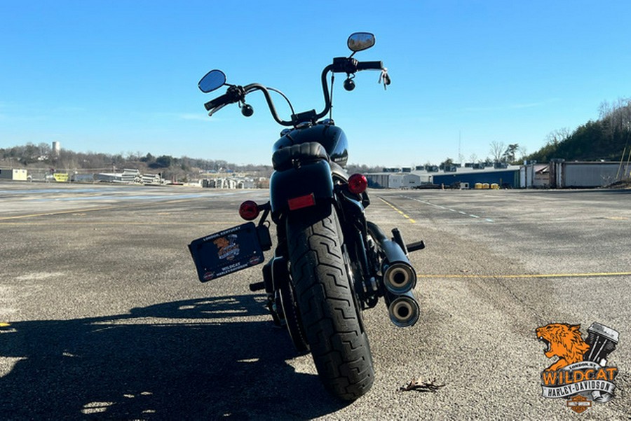 2024 Harley-Davidson Softail FXBBS - Street Bob 114