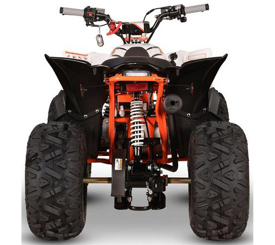 2027 Kayo Storm 110