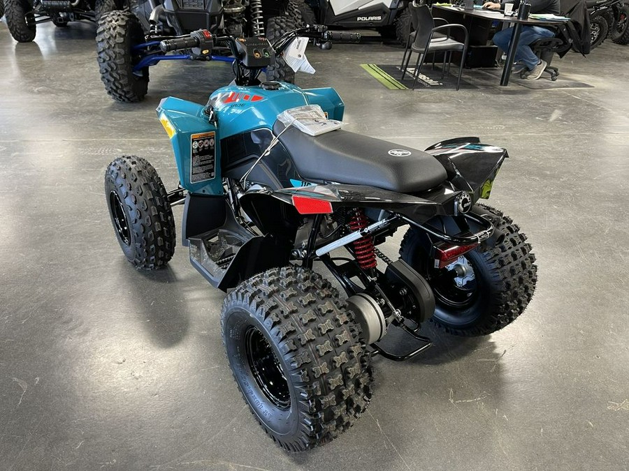 2023 Can-Am® Renegade 110 EFI