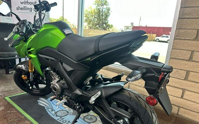 2024 Kawasaki Z125 PRO