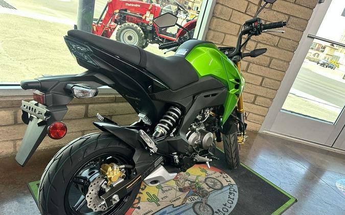 2024 Kawasaki Z125 PRO