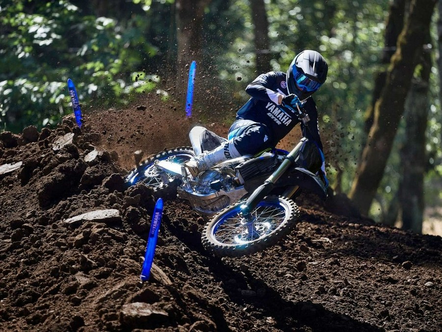 2025 Yamaha Motor Corp., USA YZ450F Monster Energy Edition