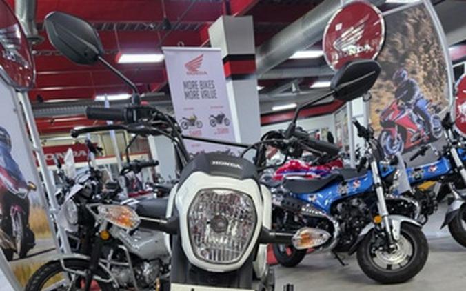 2026 Honda Navi White