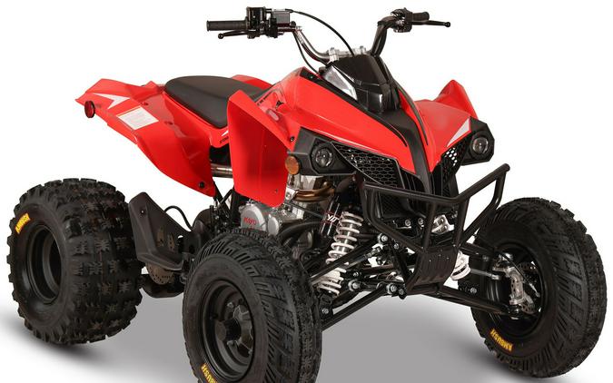2027 Kayo Storm 300 EFI