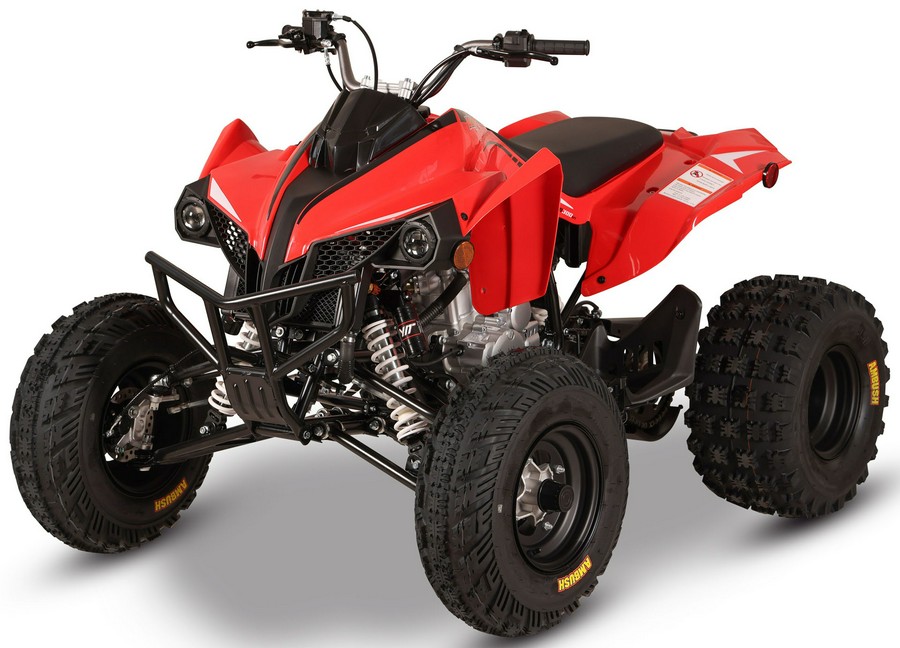 2027 Kayo Storm 300 EFI