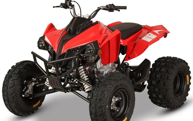 2027 Kayo Storm 300 EFI