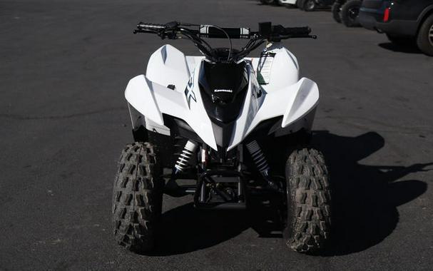 2026 Kawasaki KFX®90