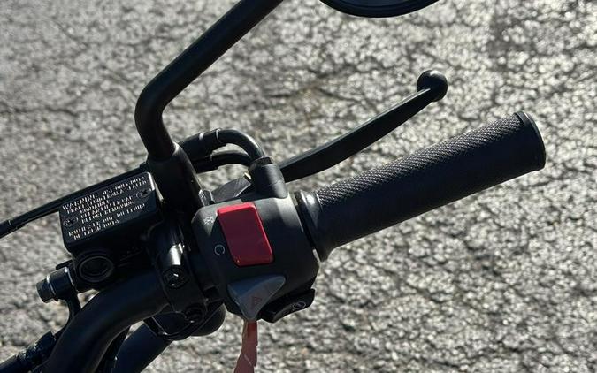 2025 Honda® Rebel 300