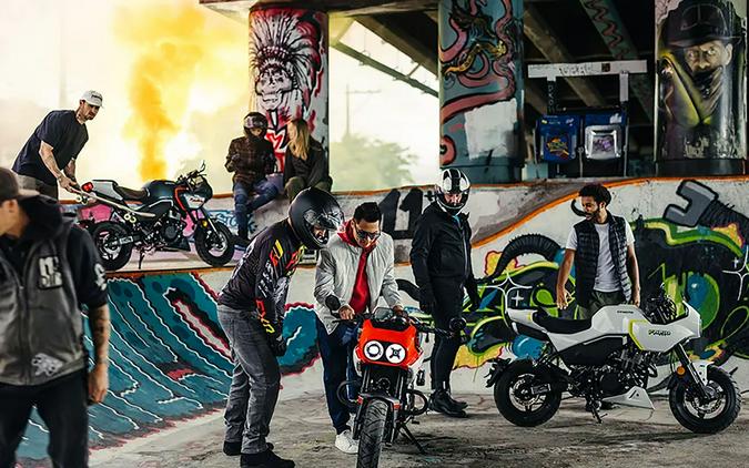 2025 CFMOTO Papio SS