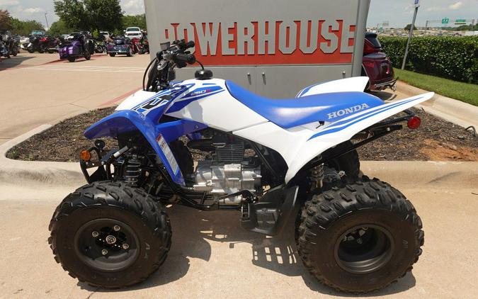 2023 Honda TRX 250X