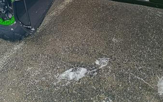 2026 Kawasaki Teryx®5 H2 Deluxe eS