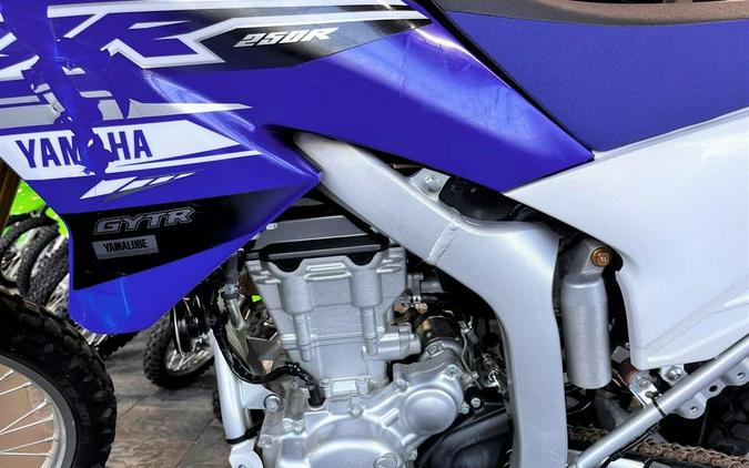 2020 Yamaha WR250R