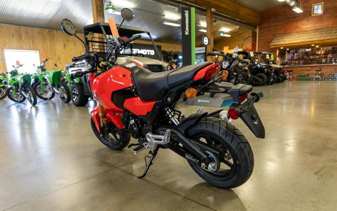 2025 Honda Grom™ Base - CHERRY RED