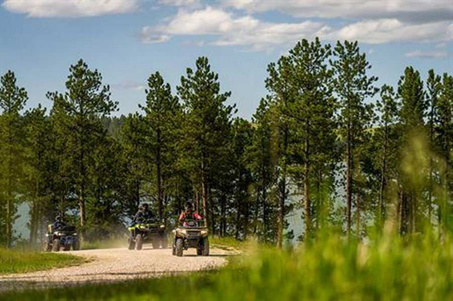 2023 Arctic Cat Alterra 300