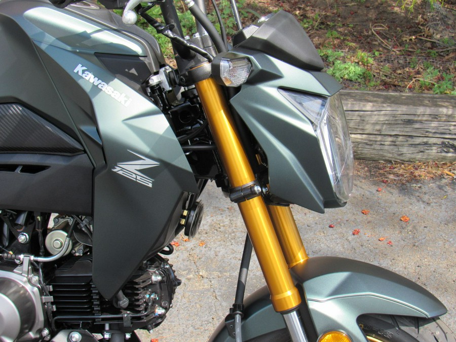 2025 Kawasaki Z125 Pro