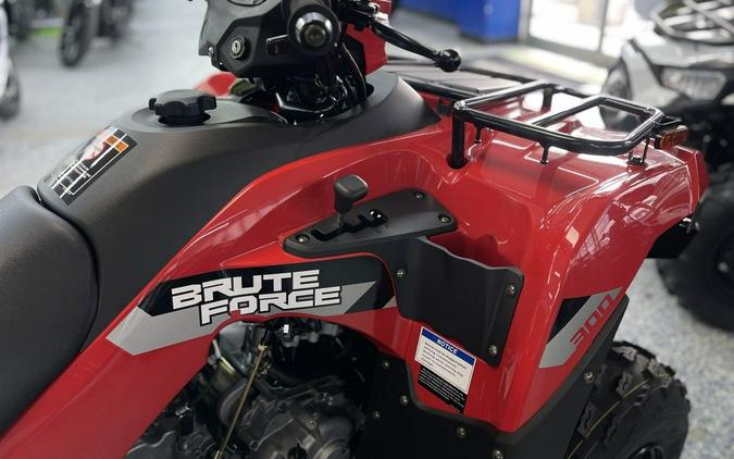 2026 Kawasaki Brute Force® 300