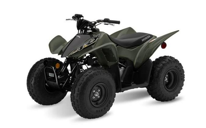 2020 Honda® TRX90X