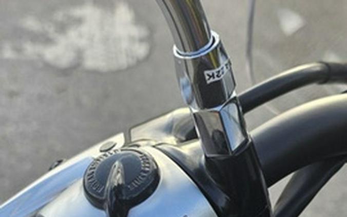 2024 Royal Enfield Super Meteor 650 Astral Green 650