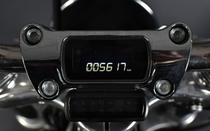 2024 Harley-Davidson Softail Standard