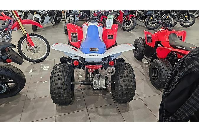 2026 Honda TRX250X
