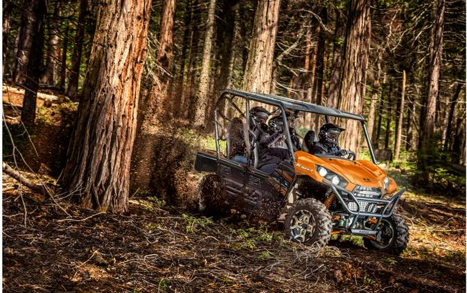 2019 Kawasaki Teryx4™ LE