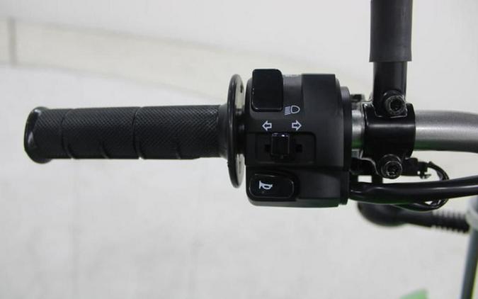2026 Kawasaki KLX 300