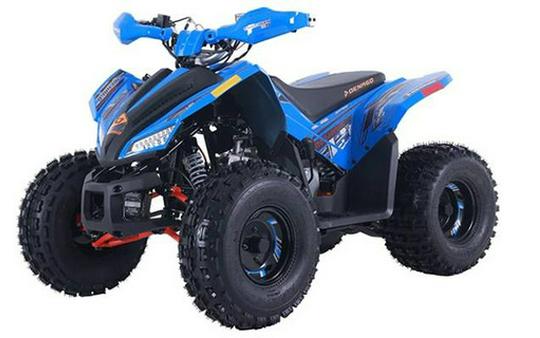 2026 Denago Powersports Trailhawk 10FI