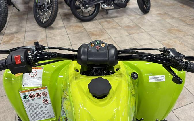 2026 Yamaha RAPTOR 110