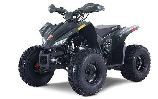2026 Denago Powersports Trailhawk 10FI