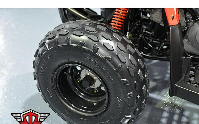 2019 Can-Am DS 90