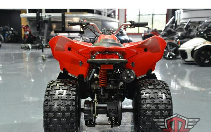 2019 Can-Am DS 90