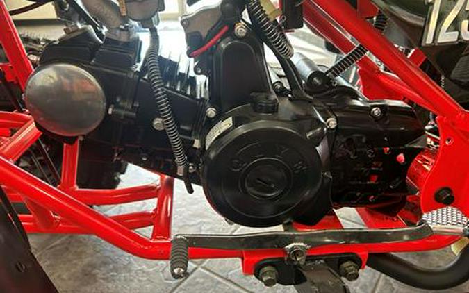 2021 TrailMaster Coolster