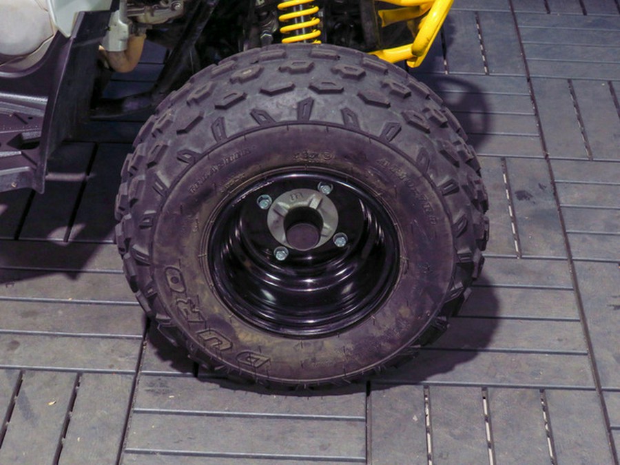 2025 Can-Am Renegade 110 EFI