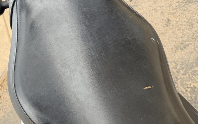 2019 HONDA SHADOW PHANTOM