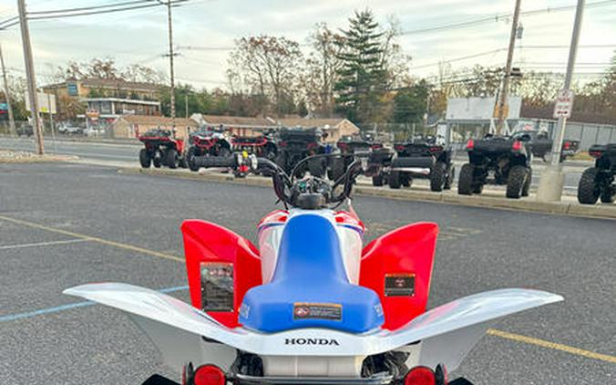 2026 Honda® TRX250X
