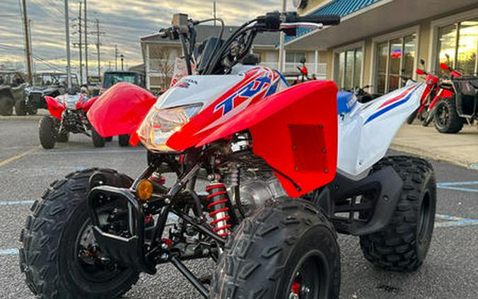 2026 Honda® TRX250X