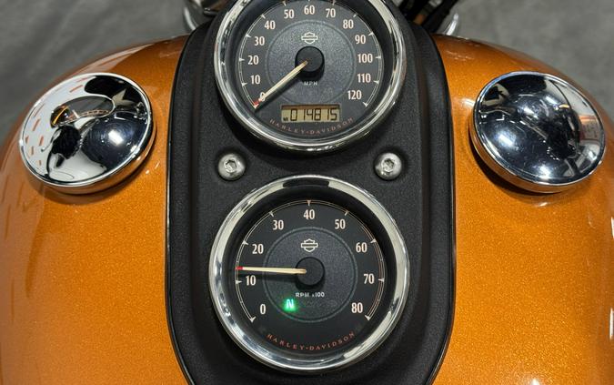 2014 HARLEY DAVIDSON DYNA LOW RIDER
