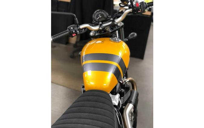 2024 Triumph SCRAMBLER 900