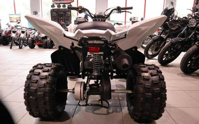 2023 Yamaha Raptor 90