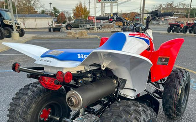 2026 Honda® TRX250X - NOT FOR SALE- DISPLAY MODEL