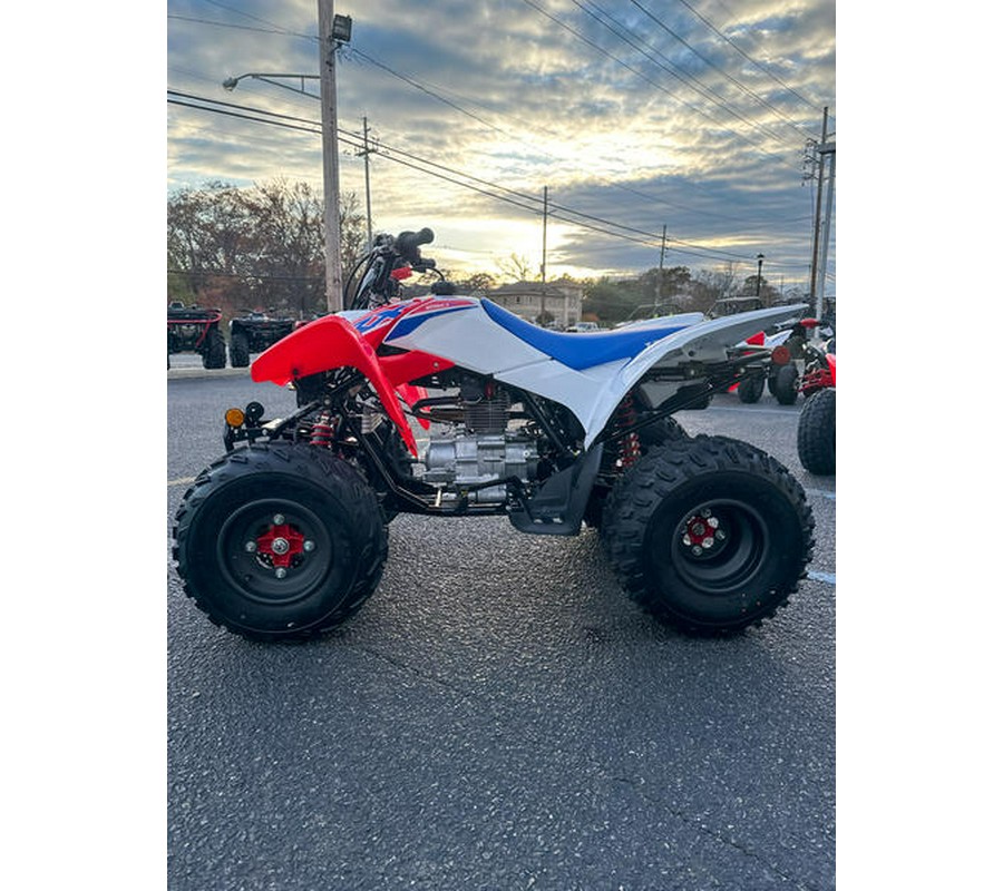 2026 Honda® TRX250X - NOT FOR SALE- DISPLAY MODEL
