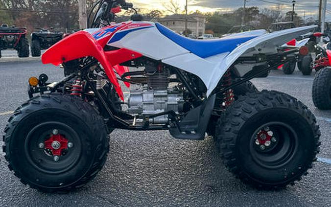 2026 Honda® TRX250X - NOT FOR SALE- DISPLAY MODEL
