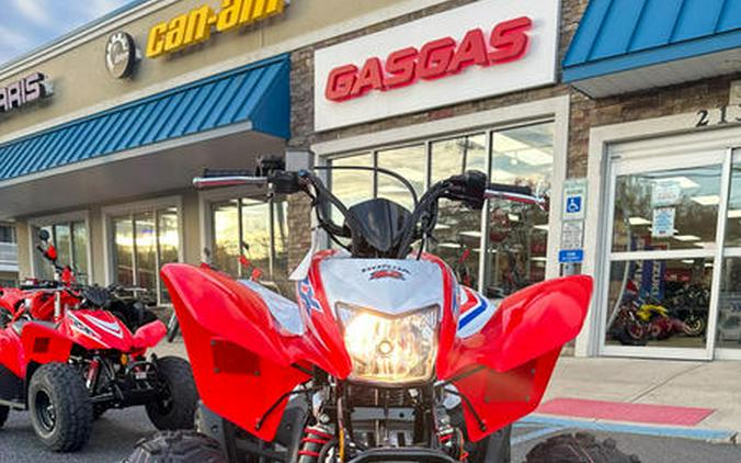 2026 Honda® TRX250X - NOT FOR SALE- DISPLAY MODEL